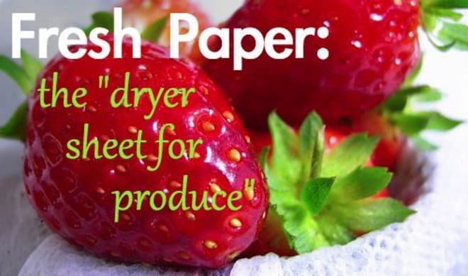 FreshPaper' May Hold Key to Preserving More of World's Produce